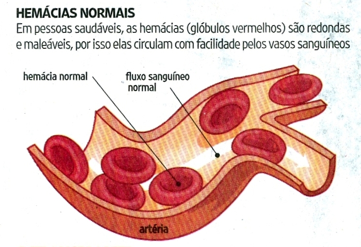 O suplemento dietético que potência é melhor